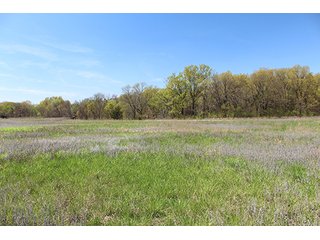 Tract 21 - LAND & MINERAL ACRES OKLAHOMA AUCTION, 588+/- Land & Producing Mineral Acres offered in 24 Tracts in Okmulgee County
